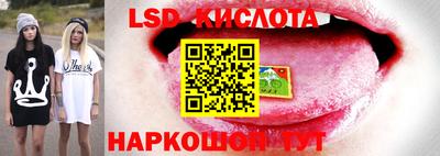 дурь Будённовск
