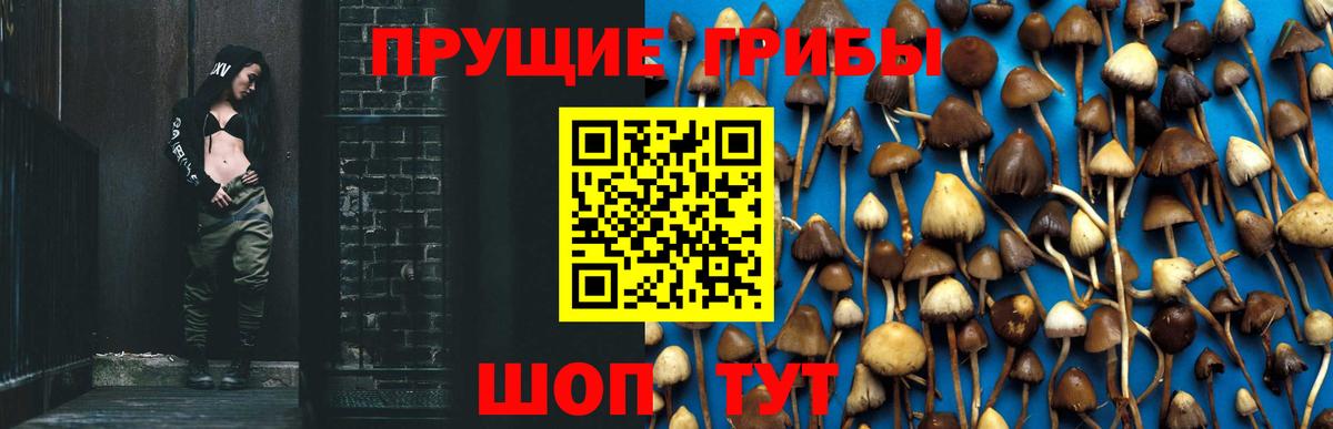 Галлюциногенные грибы ЛСД  Вход с VPN  Ростов Великий 